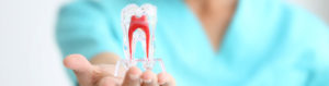 mondzorgpraktijk-orion-tandarts-behandelingen-mondhygiene-tanden-bleken-tanden-poetsen-kronen-bruggen-utrecht-overvecht